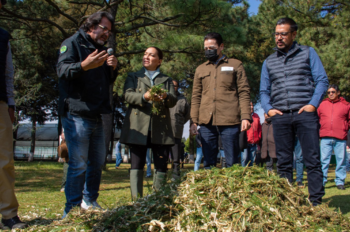 Inicia_Probosque campaña_de_reciclaje_de_árboles_de_Navidad.png